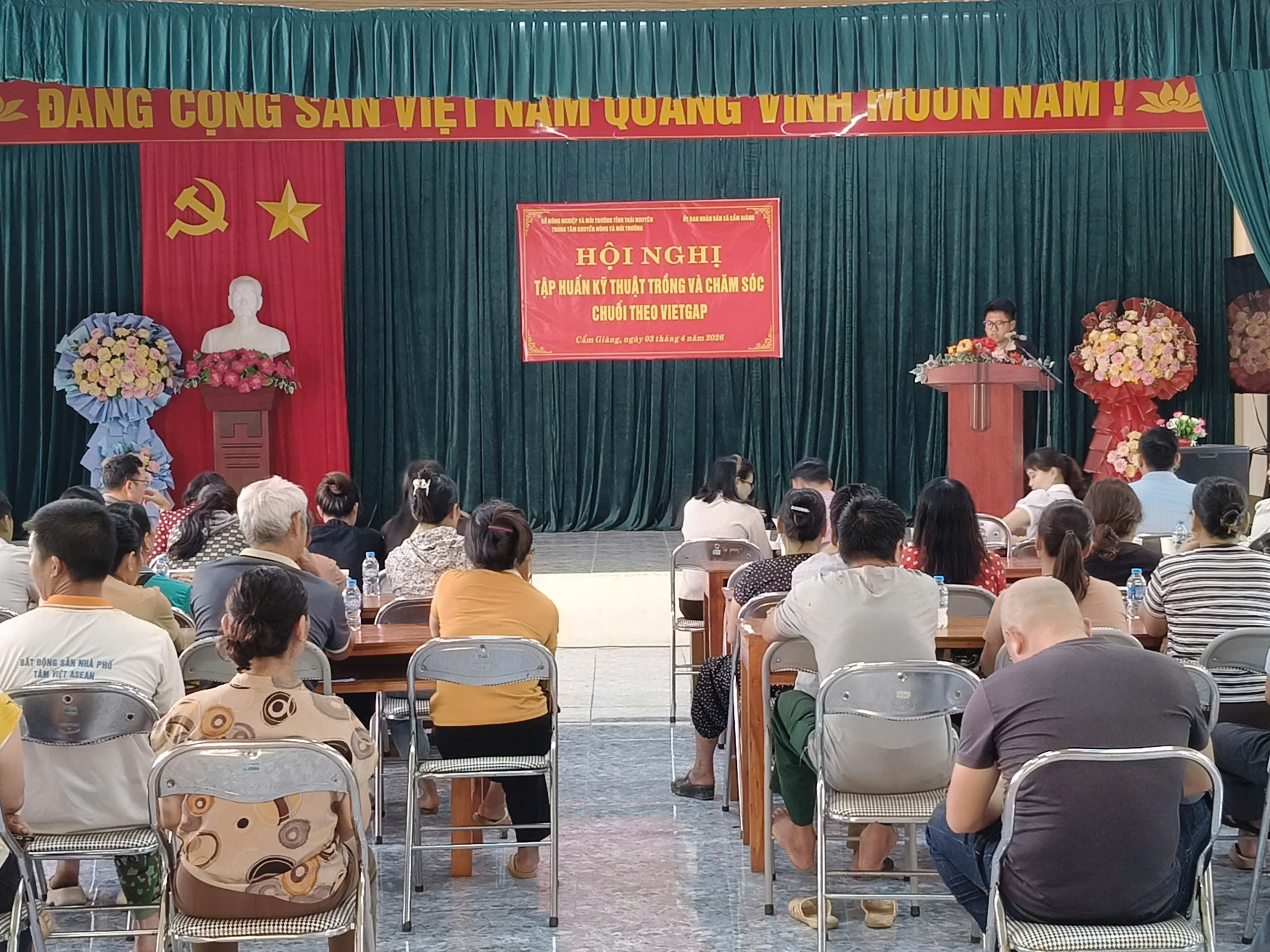 TẬP HUẤN QUY TRÌNH KỸ THUẬT TRỒNG VÀ CHĂM SÓC CHUỐI THEO TIÊU CHUẨN VIETGAP