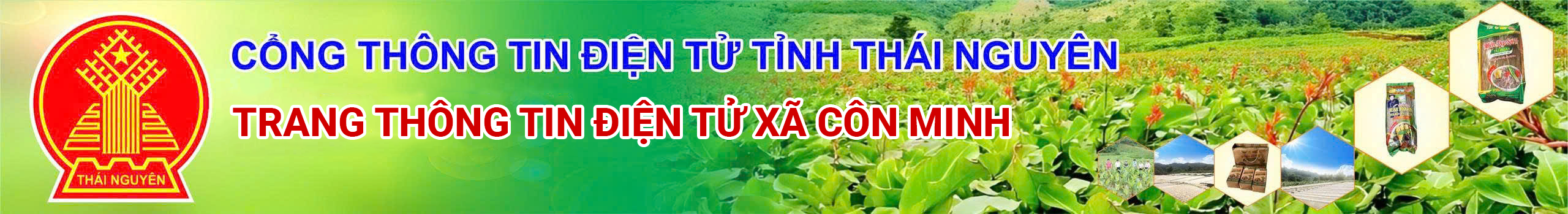 image banner