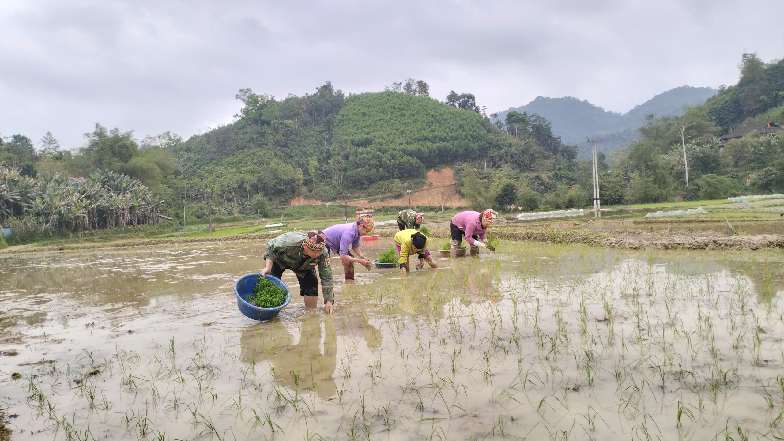Xã Côn Minh tập trung sản xuất vụ Xuân
