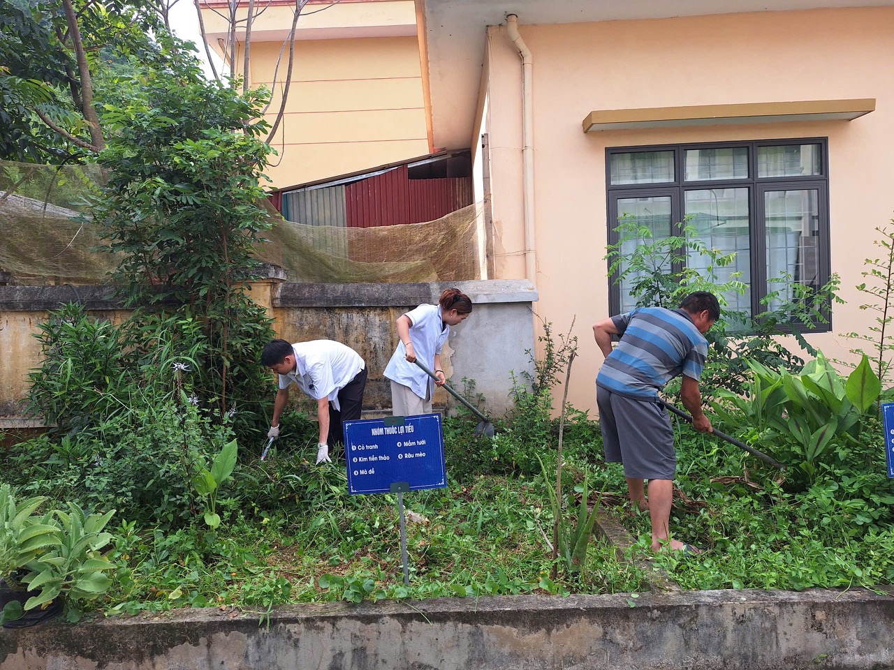 TIẾP TỤC LAN TỎA PHONG TRÀO “NGÀY THỨ BẢY XANH” – CHUNG TAY XÂY DỰNG MÔI TRƯỜNG SÁNG, XANH, SẠCH, ĐẸP