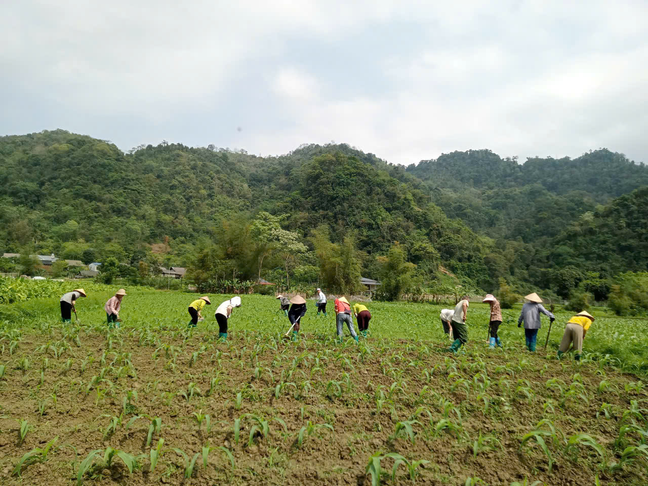 CHI HỘI PHỤ NỮ THÔN KHAU CƯỞM CHUNG TAY GIÚP ĐỠ HỘI VIÊN CÓ HOÀN CẢNH KHÓ KHĂN