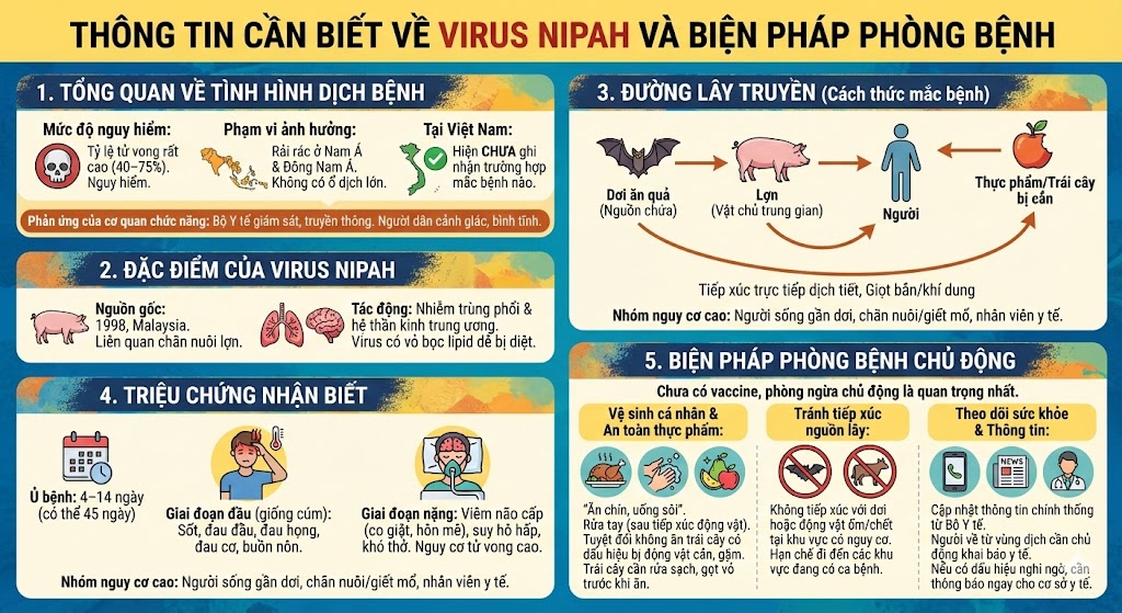 Chủ động phòng ngừa, ngăn chặn, xử lý bệnh do Virus Nipah gây ra