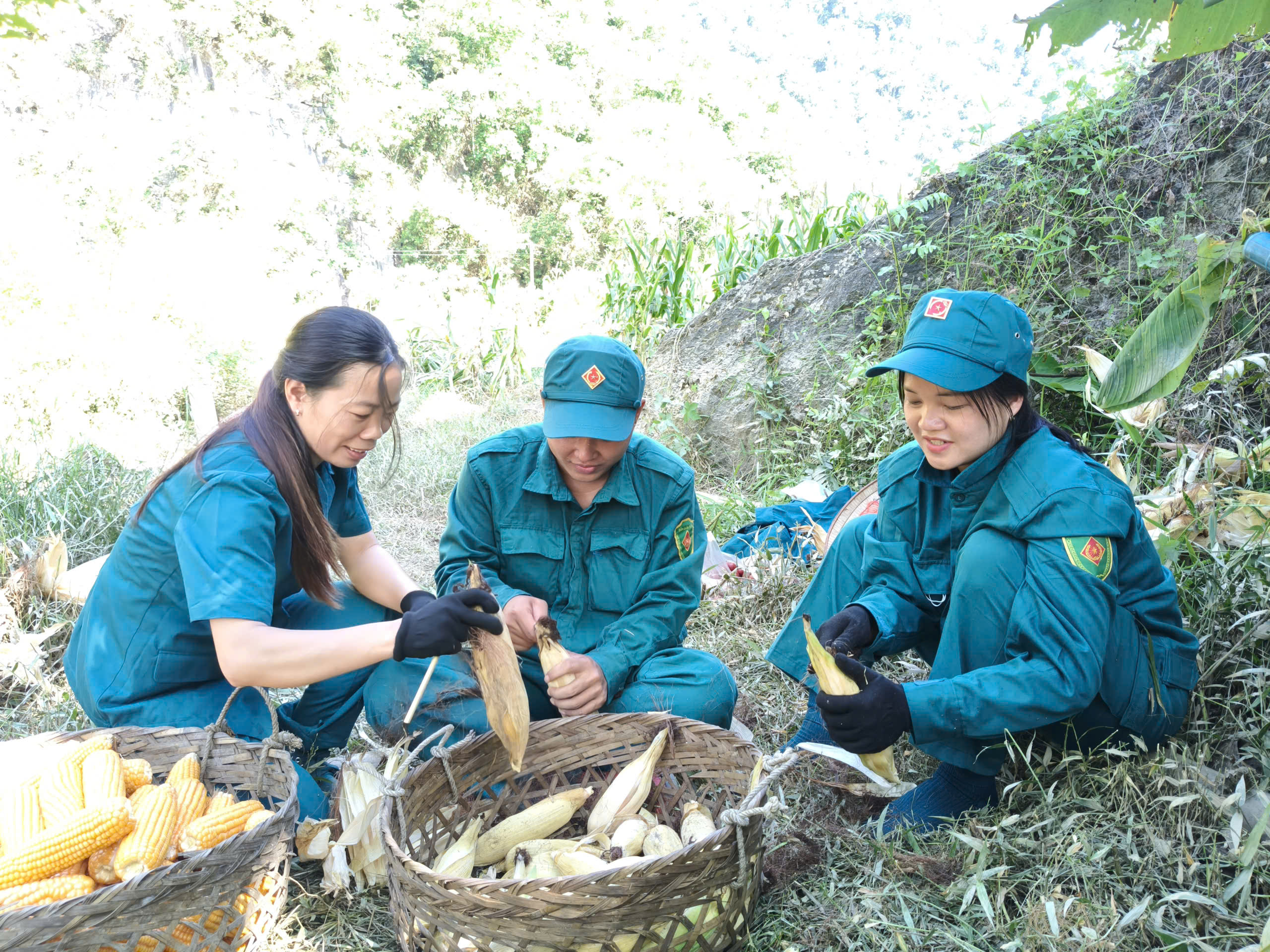 Anh-tin-bai