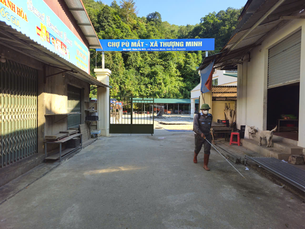 Anh-tin-bai