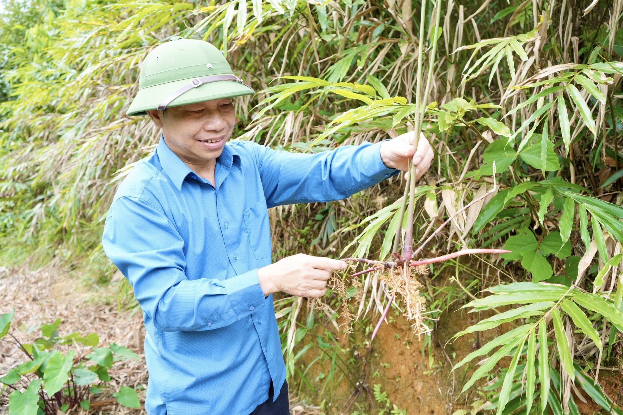 Anh-tin-bai