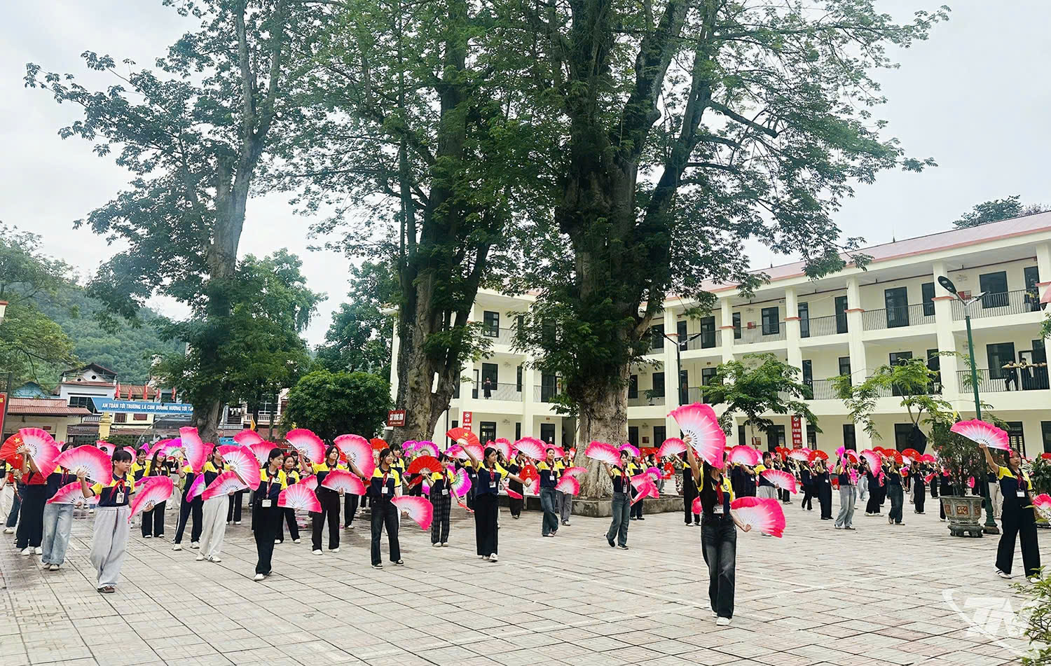 Anh-tin-bai
