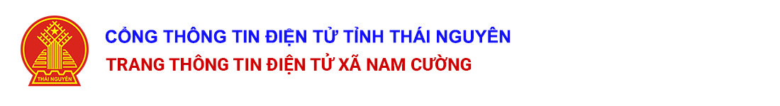 image banner