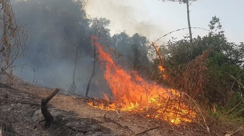 Tăng cường công tác quản lý, bảo vệ rừng và phòng cháy, chữa cháy rừng trên địa bàn xã Nam Cường