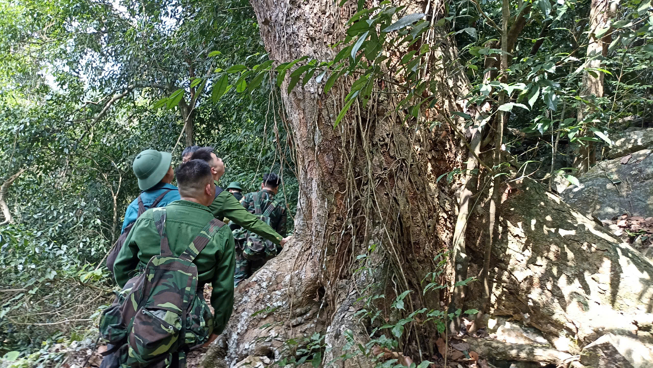 XÃ  NAM CƯỜNG TĂNG CƯỜNG TUẦN TRA  BẢO VỆ RỪNG