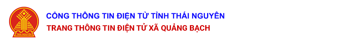 image banner