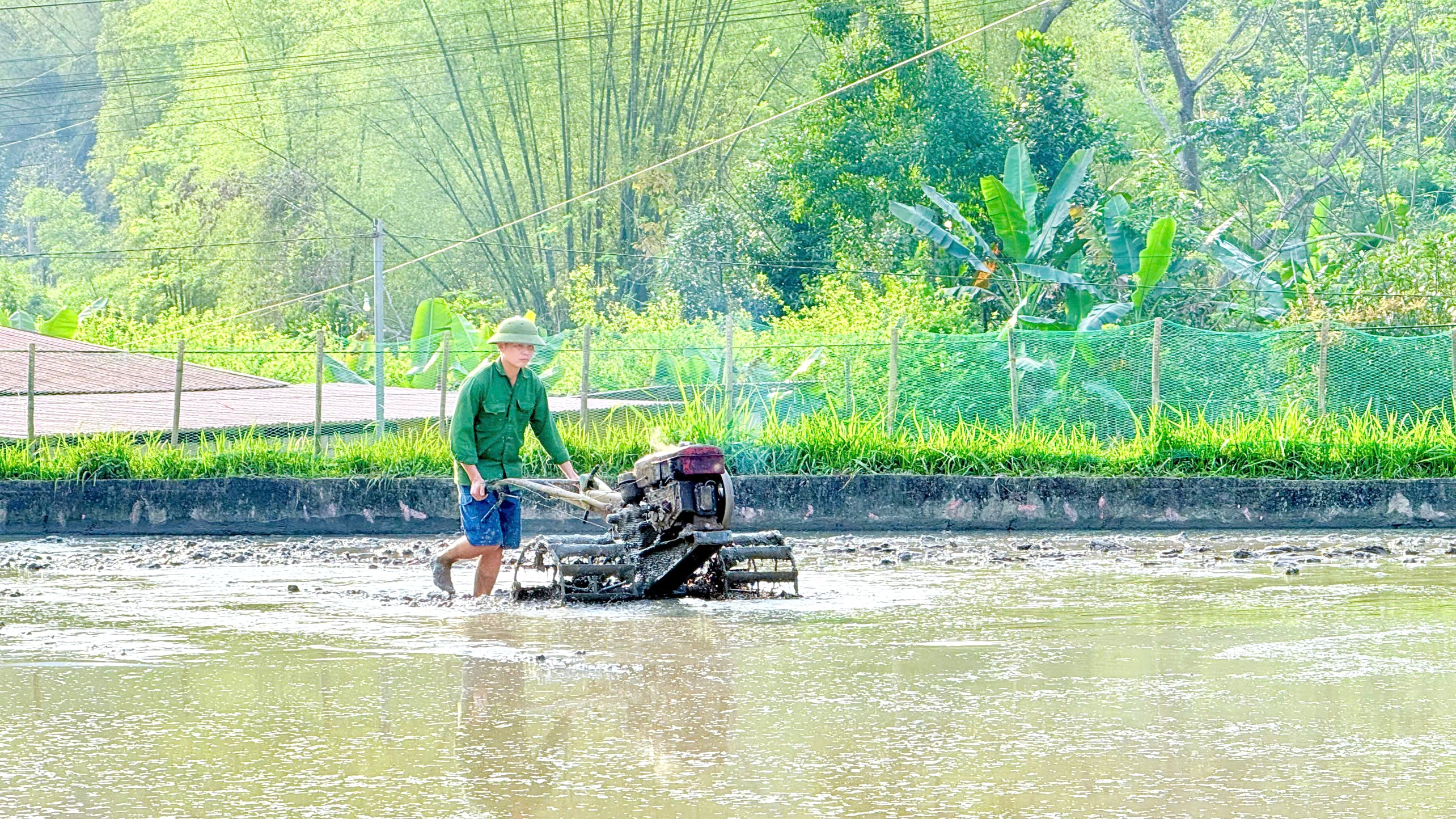 Anh-tin-bai