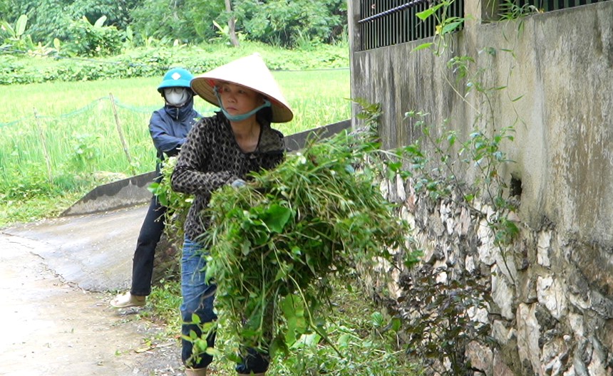 Anh-tin-bai
