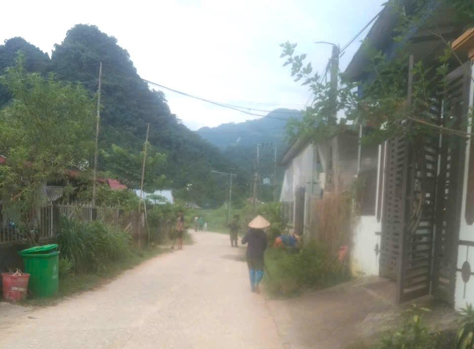 Anh-tin-bai