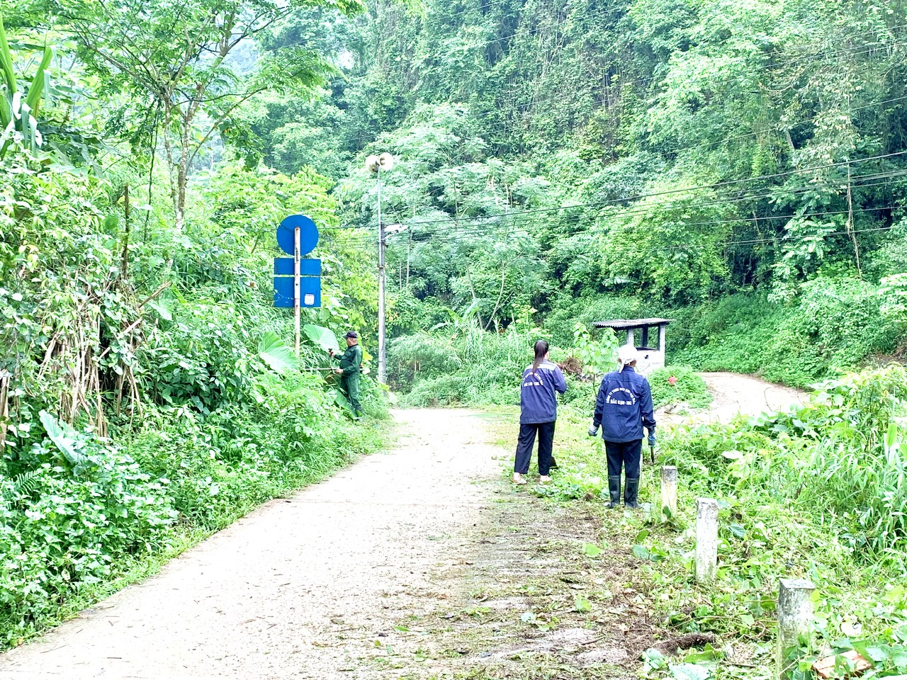 Anh-tin-bai