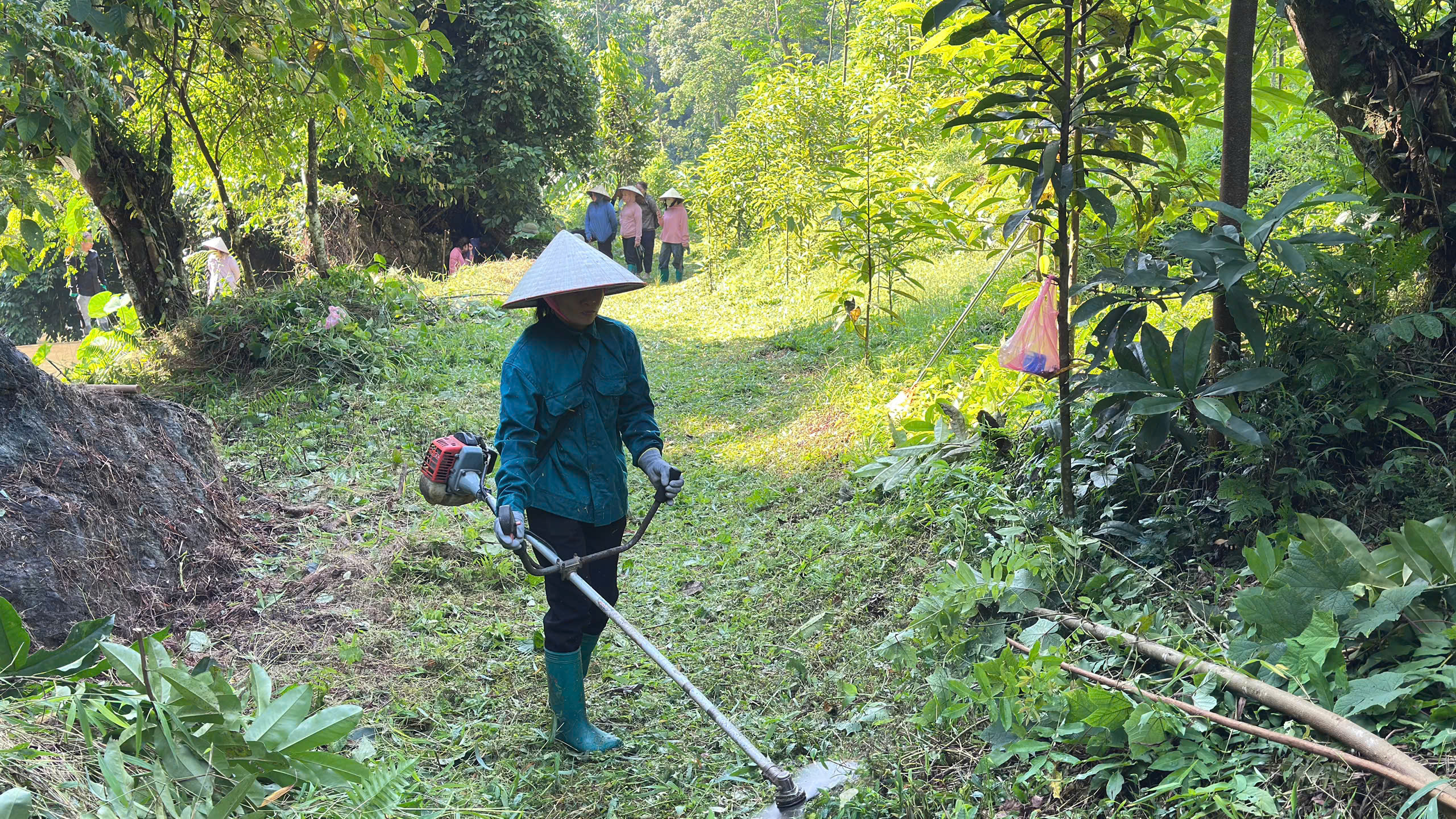 Anh-tin-bai