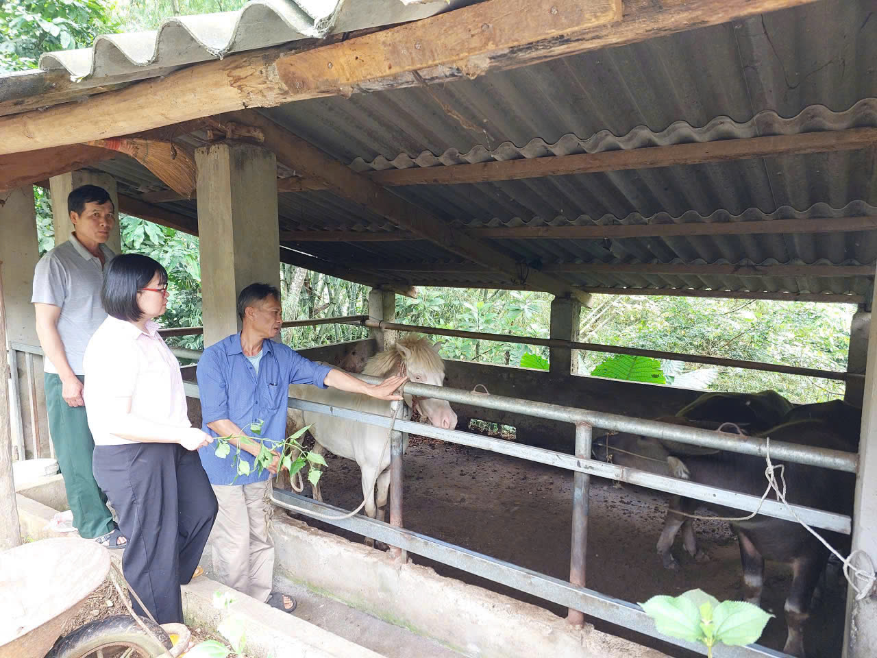 Anh-tin-bai