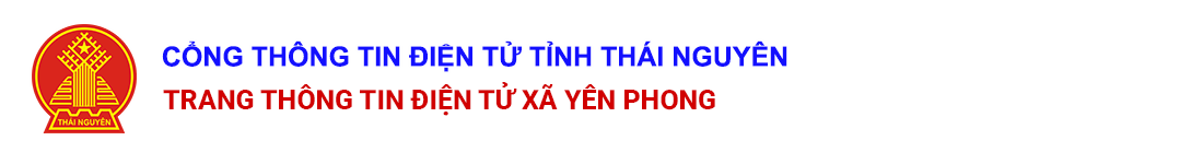 image banner