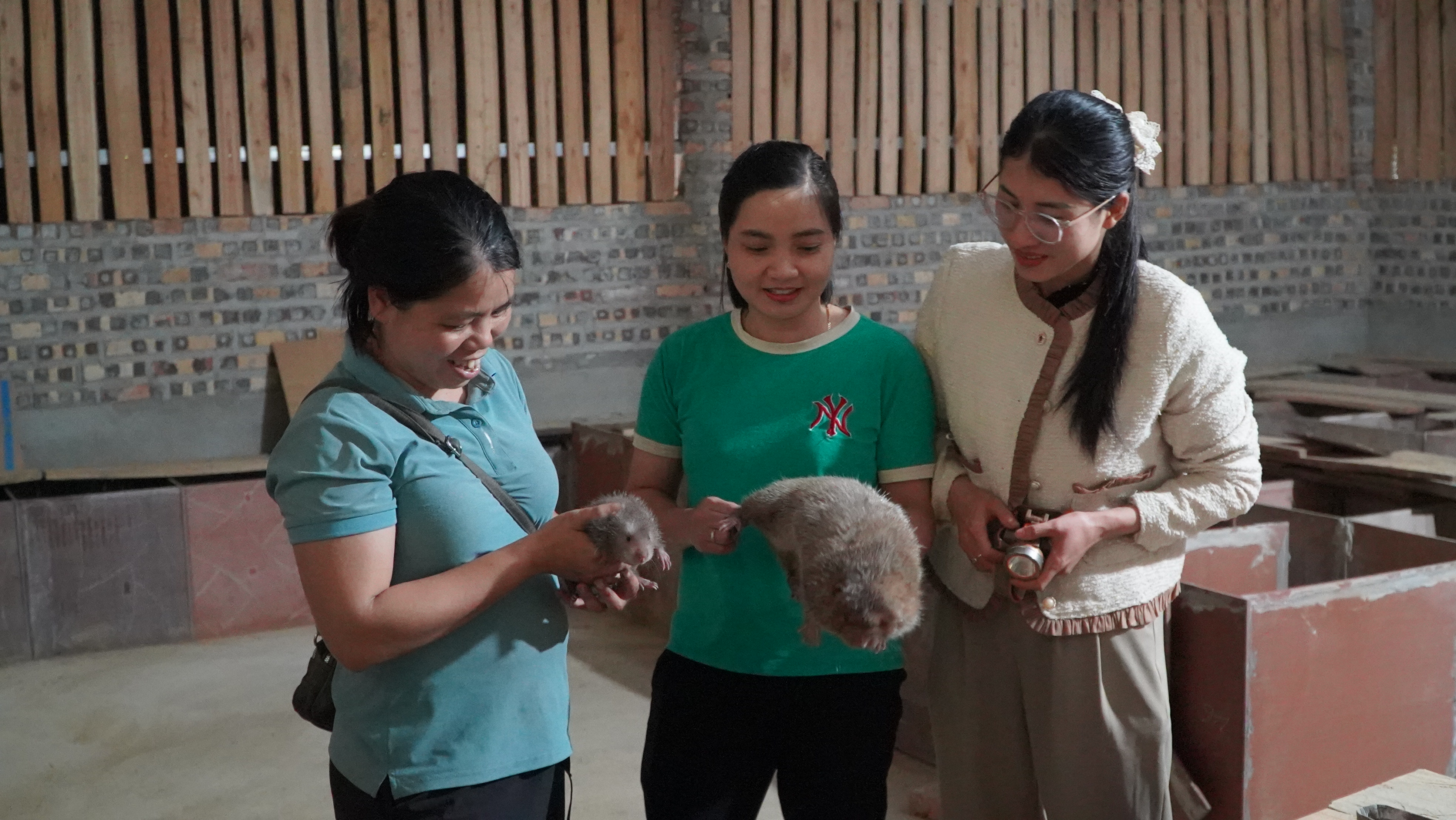 Yên Phong phát triển kinh tế từ nuôi dúi