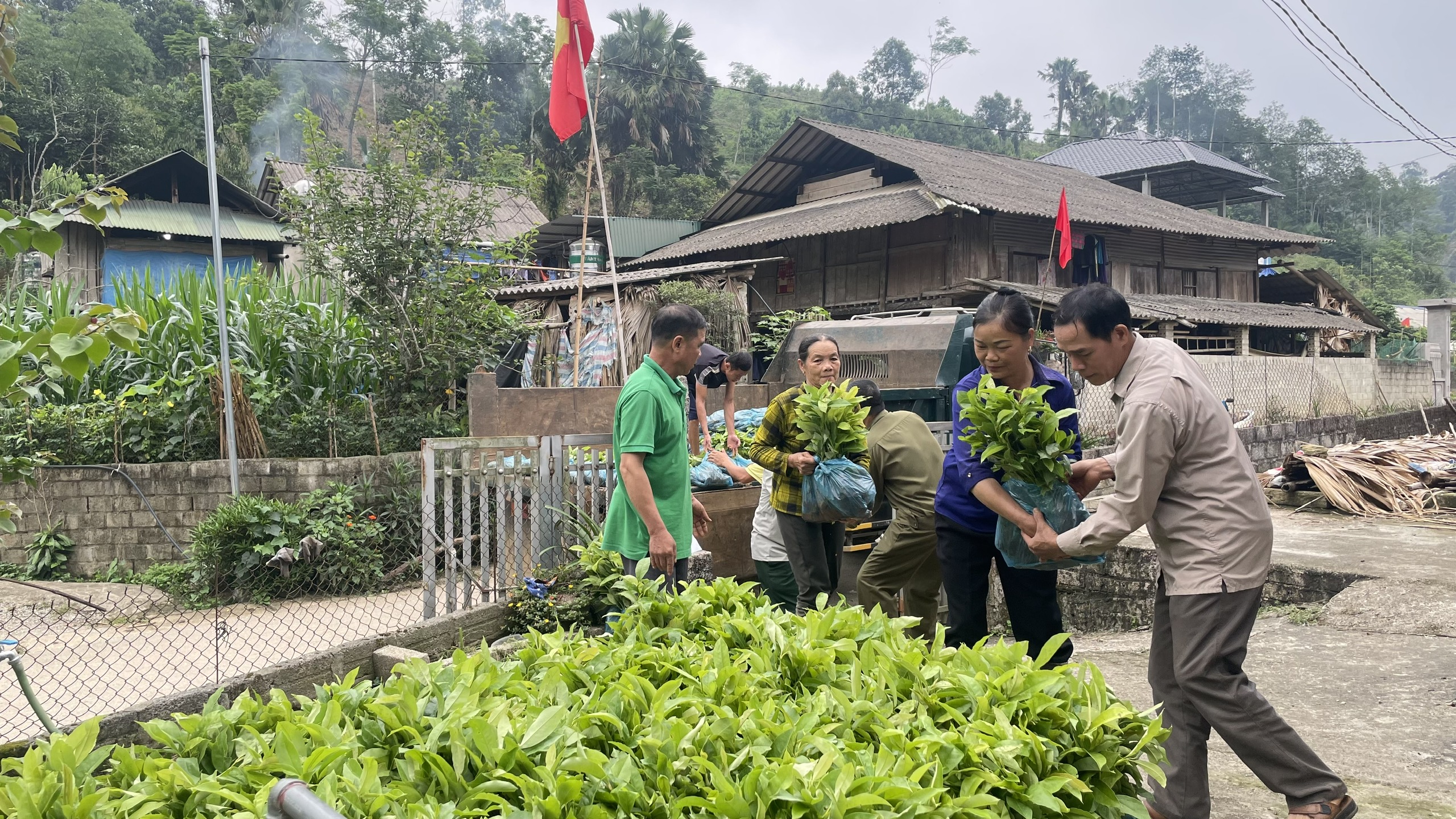 Anh-tin-bai