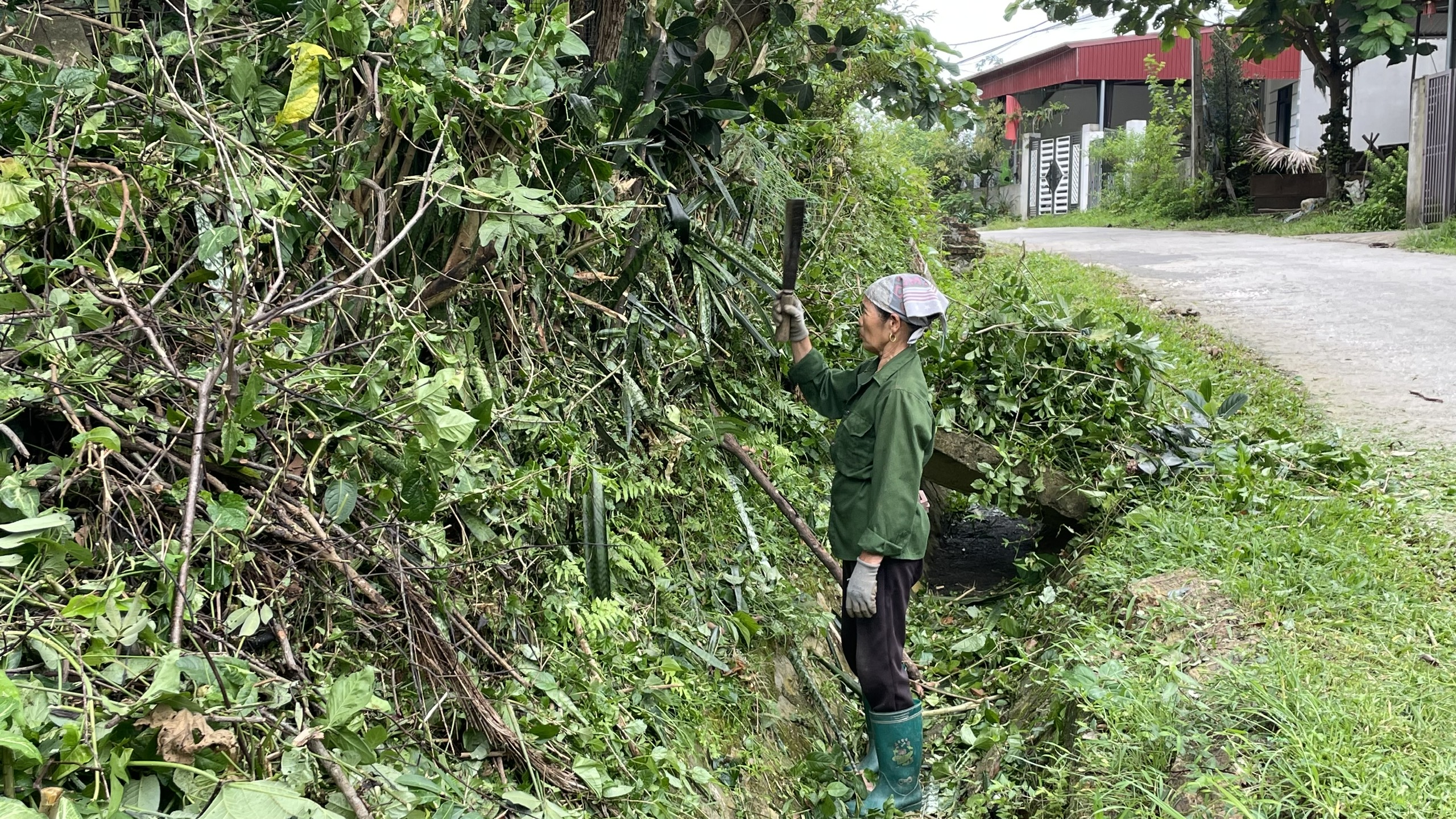 Anh-tin-bai