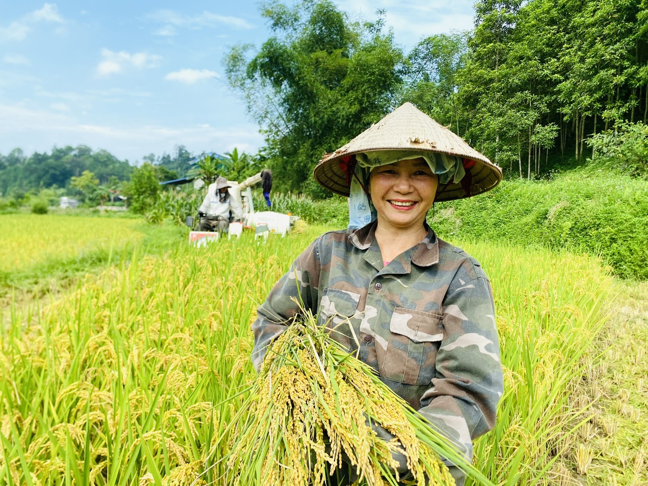 Anh-tin-bai