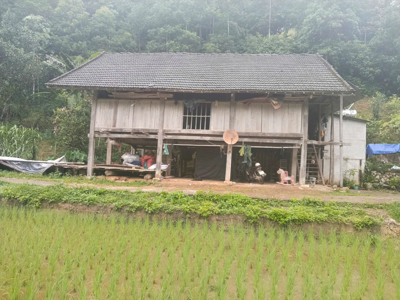 Anh-tin-bai