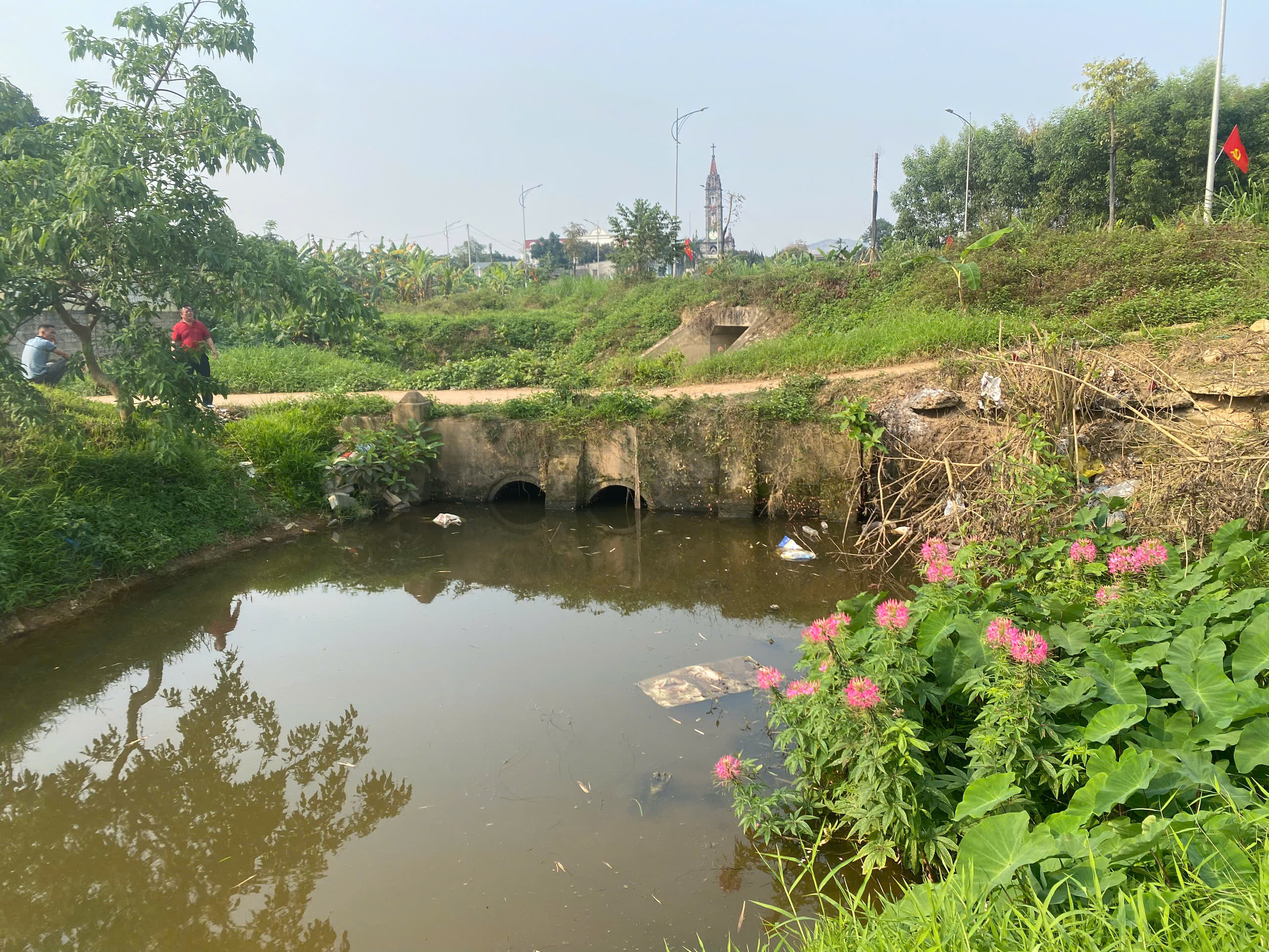 Anh-tin-bai