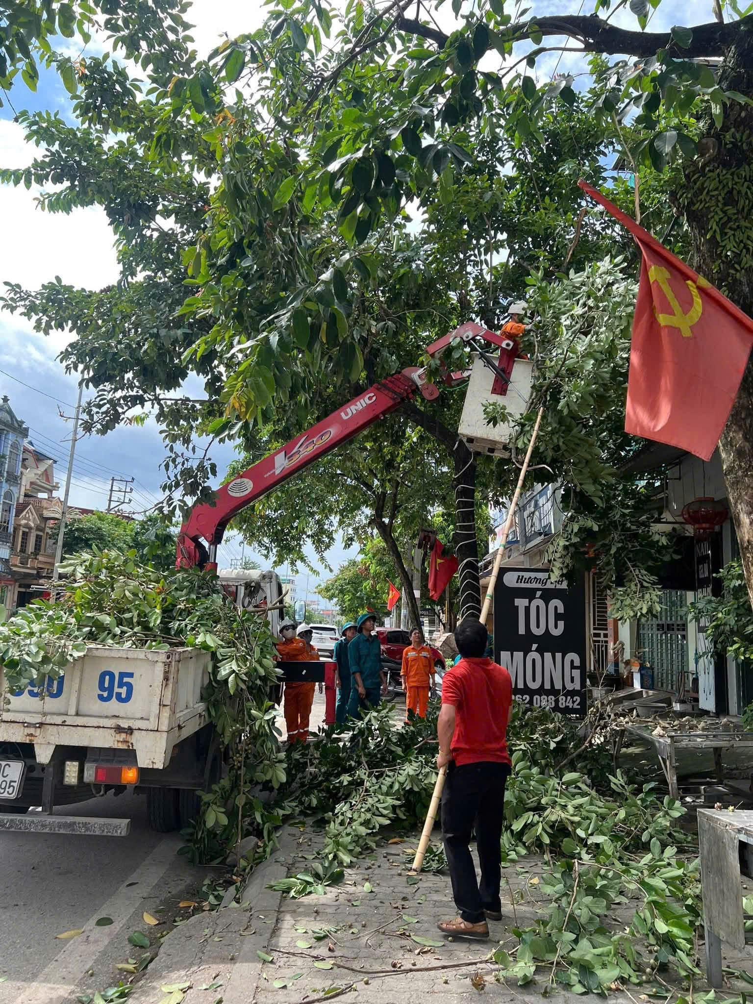 PHƯỜNG TÍCH LƯƠNG PHỐI HỢP CẮT TỈA CÂY XANH, CHỦ ĐỘNG PHÒNG CHỐNG CƠN BÃO SỐ1
