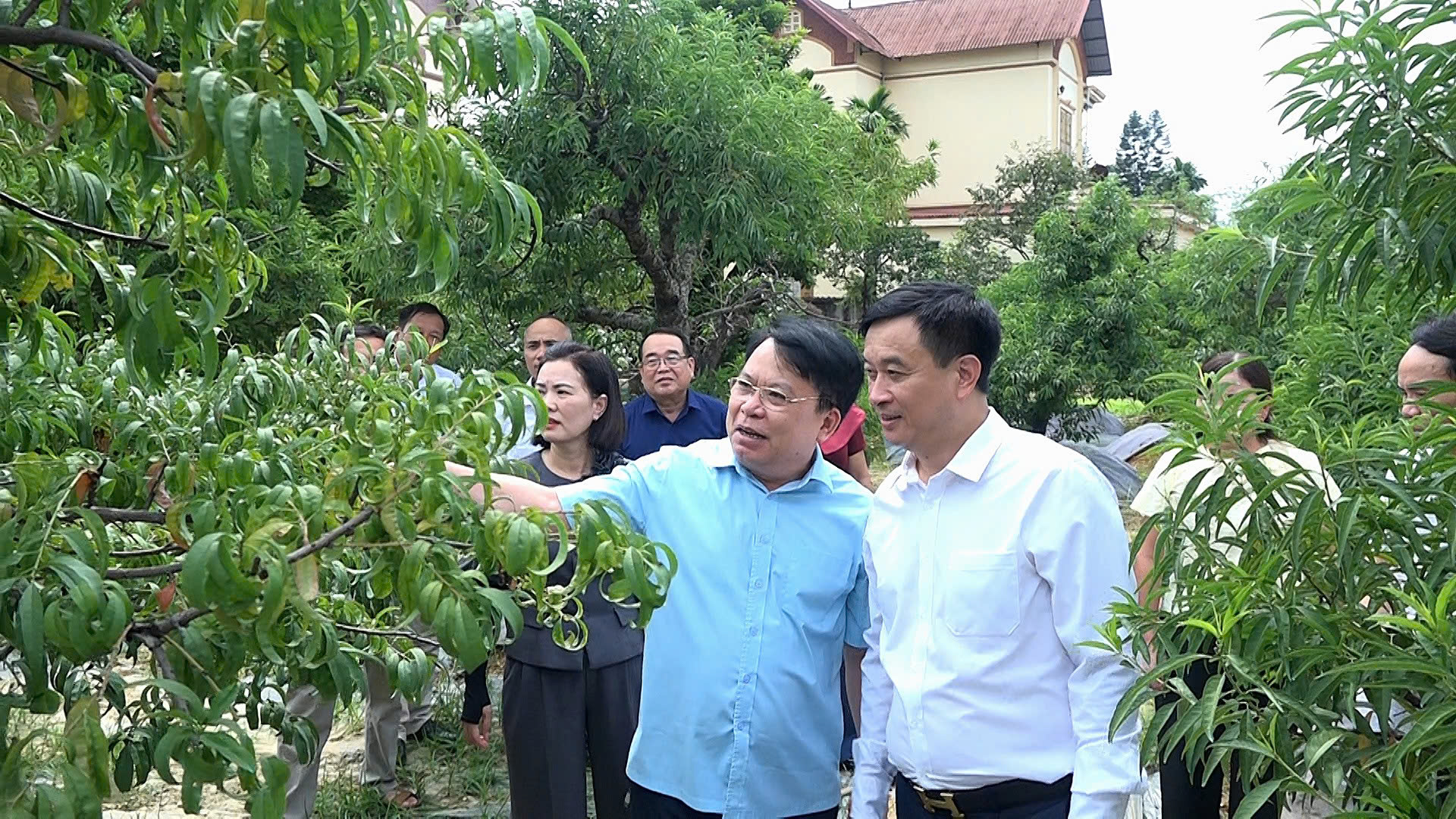 Anh-tin-bai