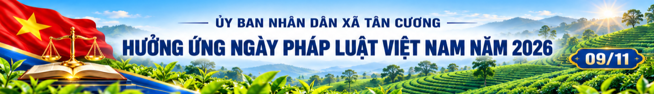 image advertisement