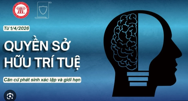 Cơ chế ngăn chặn và xử lý xâm phạm quyền sở hữu trí tuệ