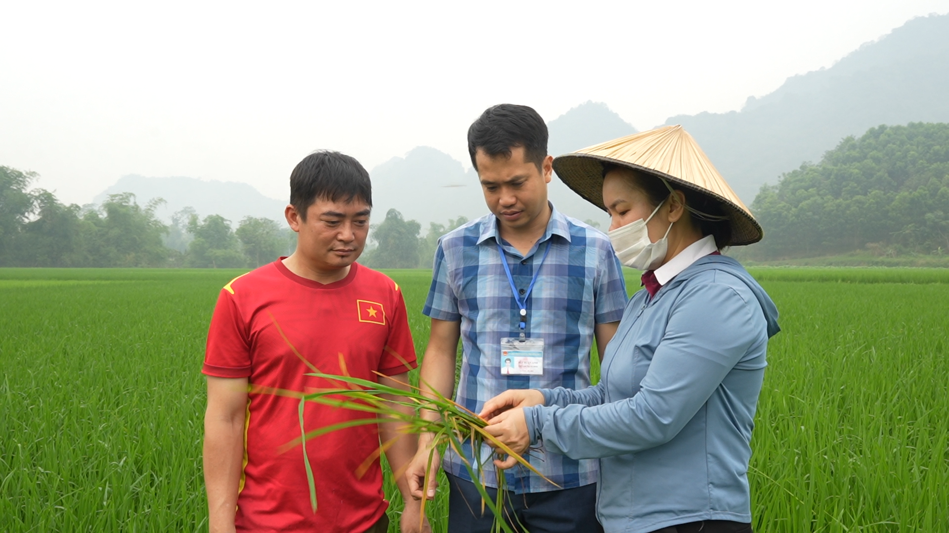 TĂNG CƯỜNG KIỂM TRA, PHÒNG TRỪ SÂU BỆNH HẠI CÂY TRỒNG VỤ XUÂN NĂM 2026