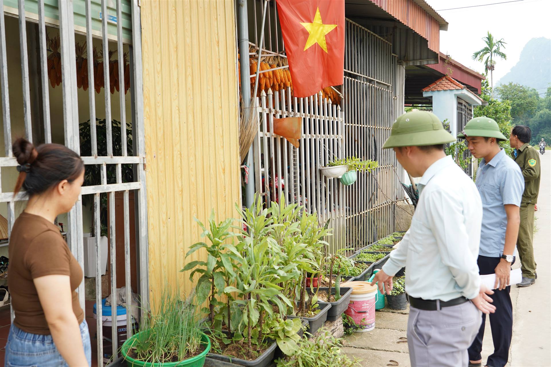 Anh-tin-bai