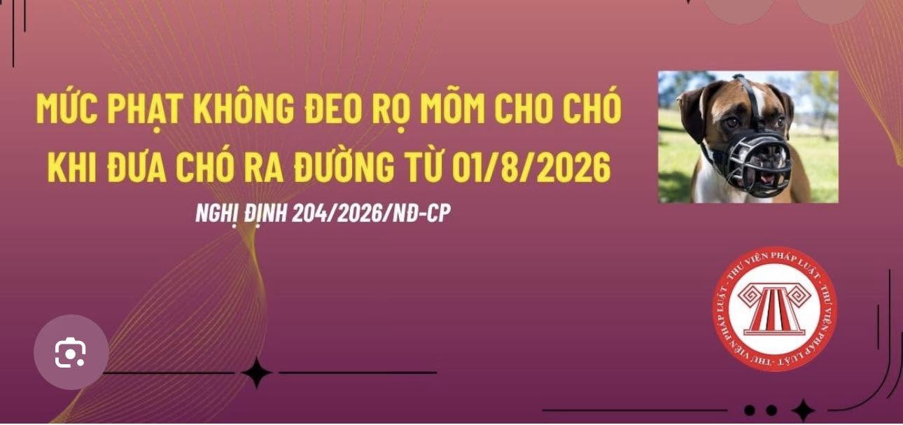 NHỮNG QUY ĐỊNH MỚI CÓ HIỆU LỰC TỪ 01/8/2026 CHỦ NUÔI CHÓ CẦN BIẾT
