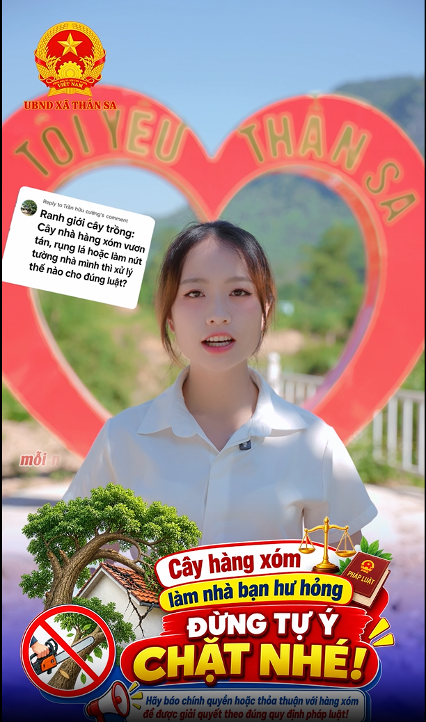 KHÔNG TỰ Ý CHẶT CÂY HÀNG XÓM VƯƠN ĐỔ SANG NHÀ MÌNH