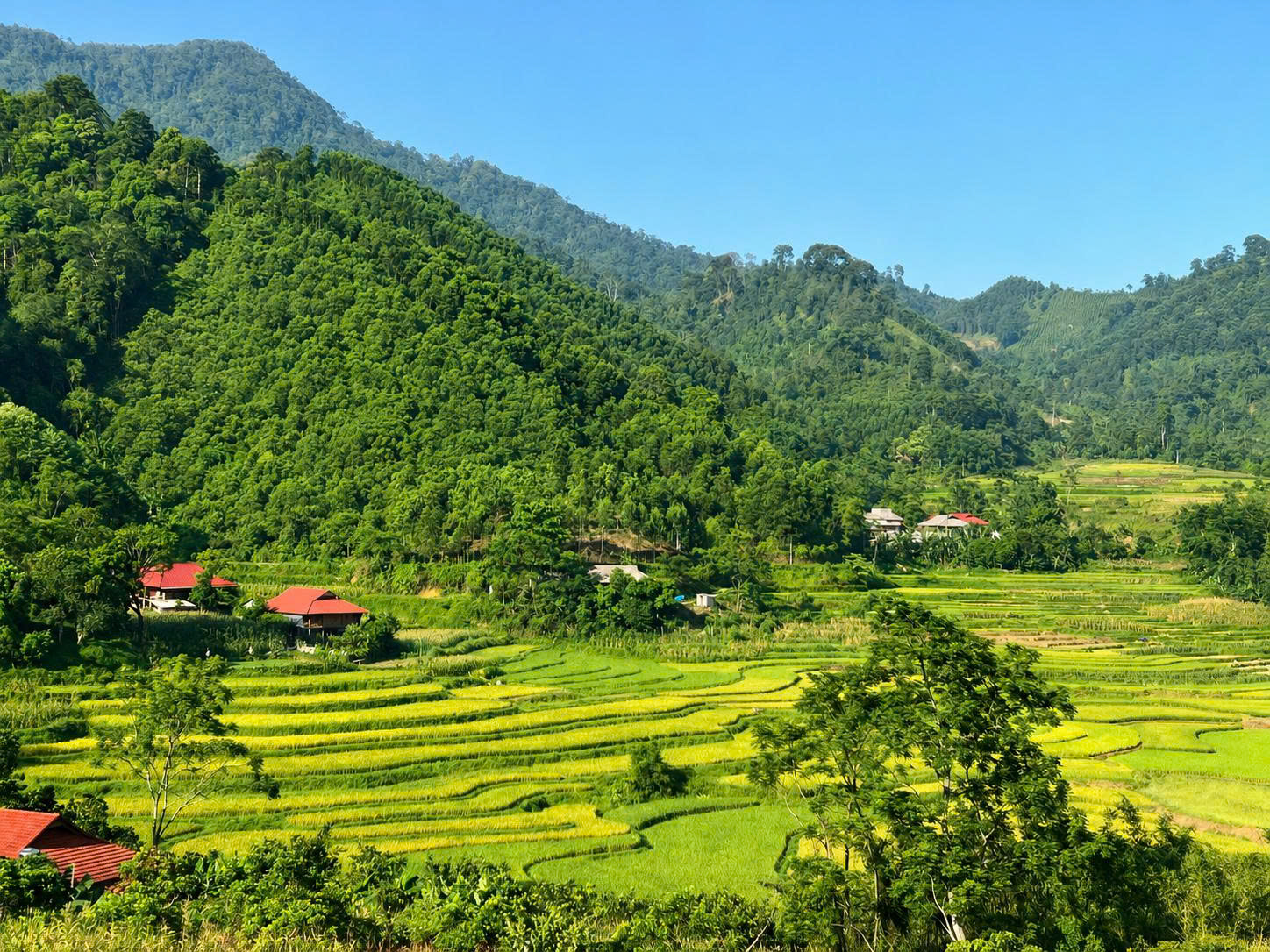LỊCH SỬ ĐẢNG BỘ XÃ DÂN TIÉN (1953 - 2013)