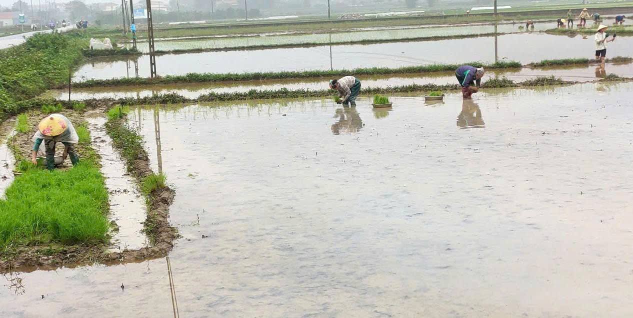 Nông dân xã Võ Nhai khẩn trương gieo cấy vụ xuân, bắt tay sản xuất từ đầu năm