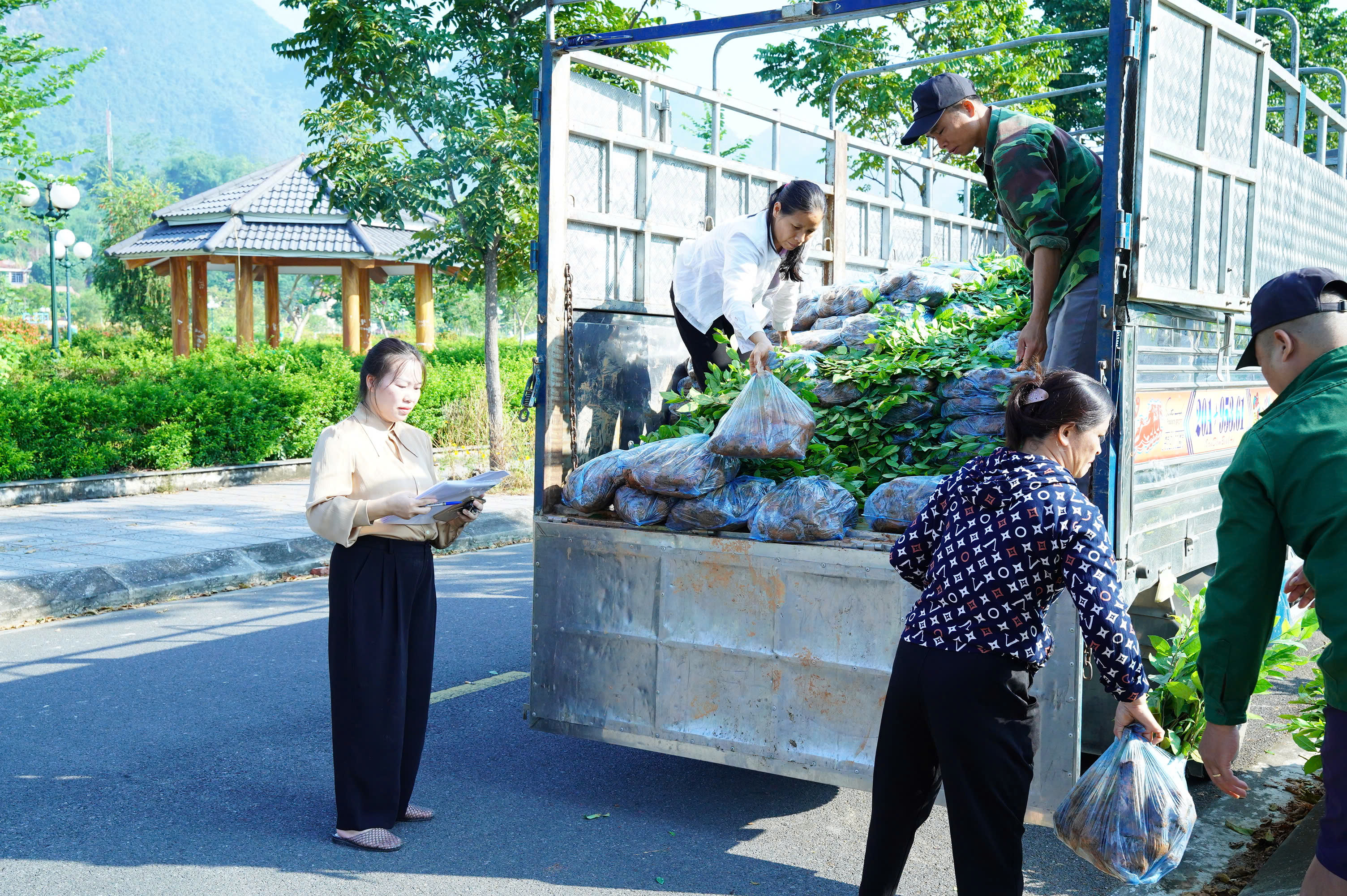 Anh-tin-bai
