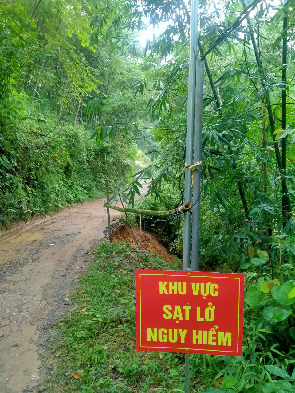 Võ Nhai chủ động phòng, chống sạt lở đất sau mưa bão