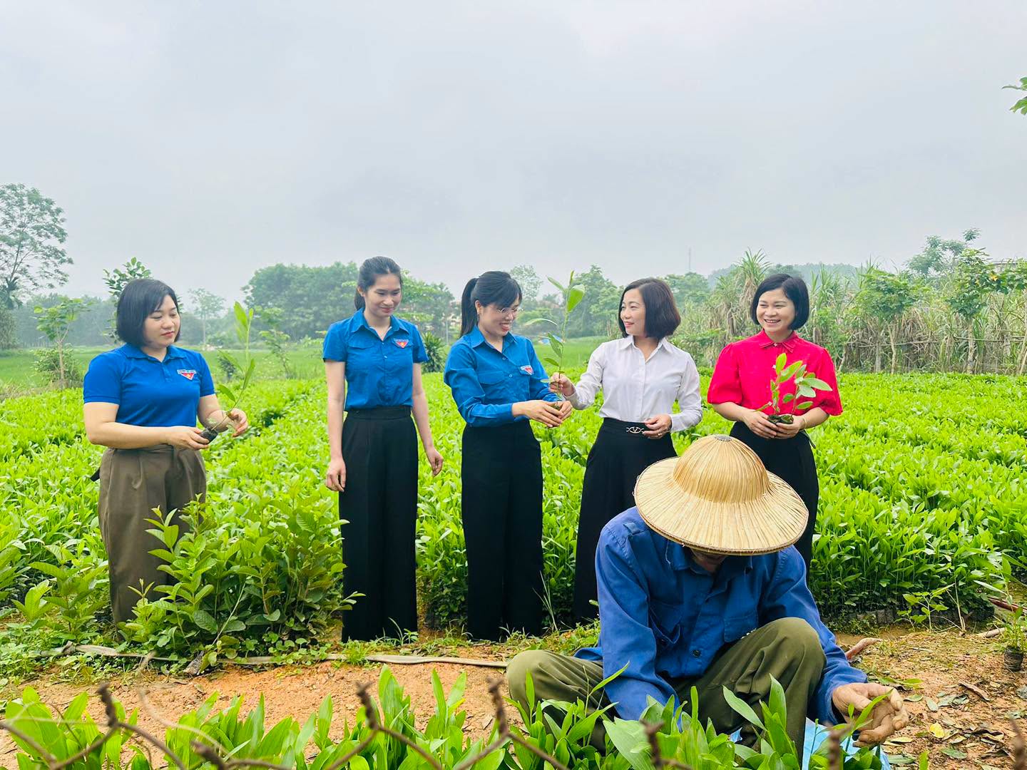 Gương thanh niên phát triển kinh tế với mô hình vườn ươm keo giống