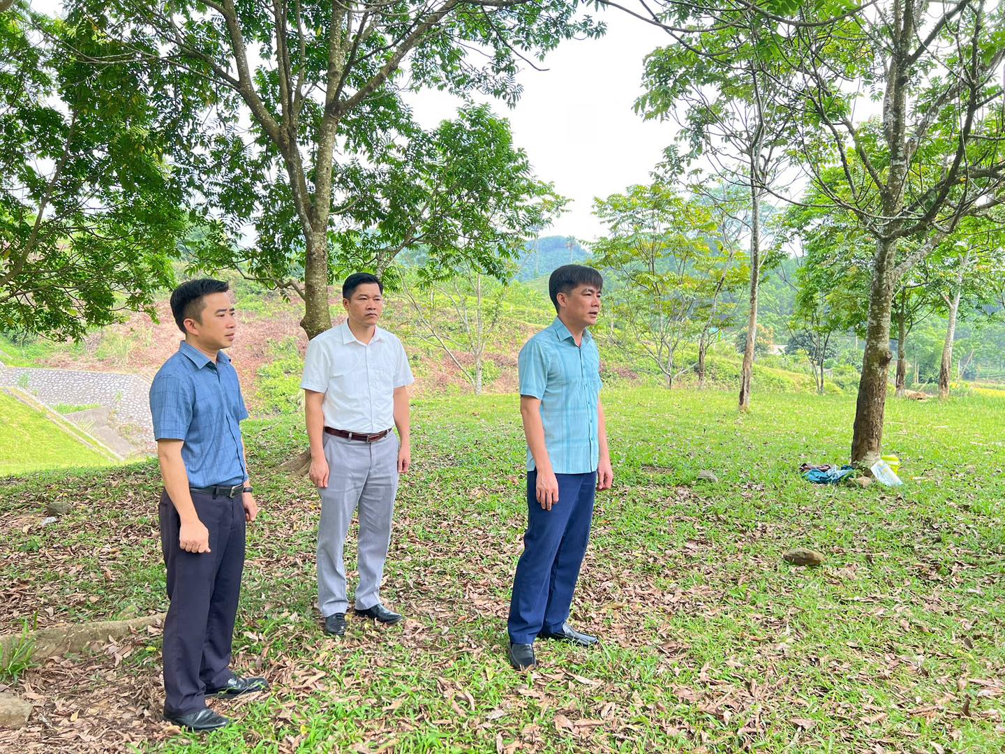 Anh-tin-bai