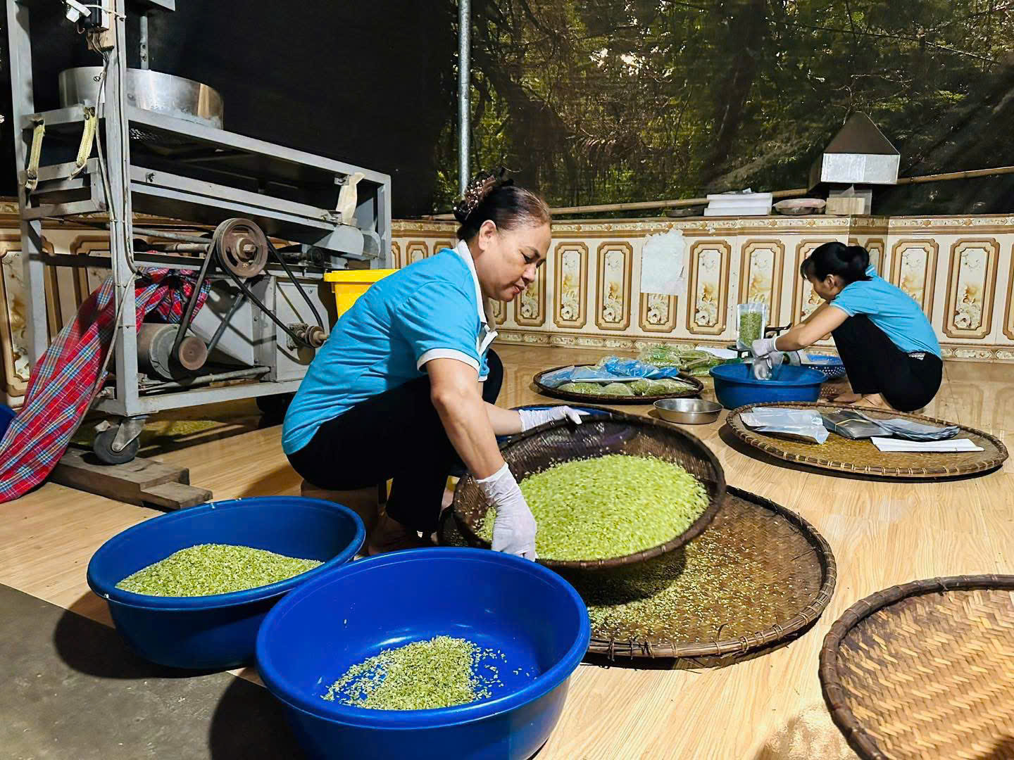Anh-tin-bai