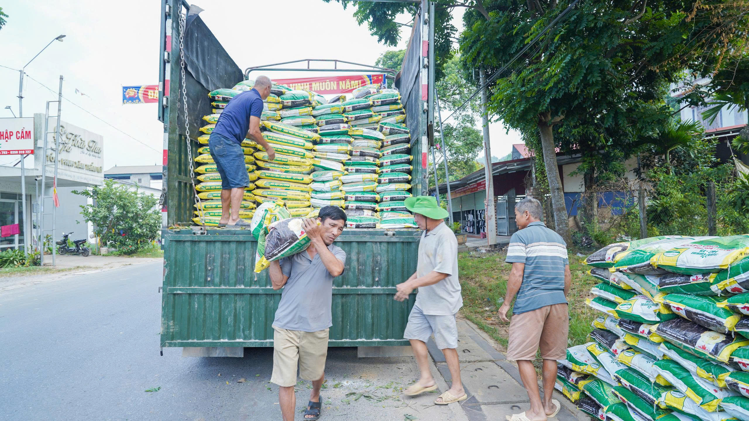 Yên Trạch hỗ trợ 42 tấn phân bón vi sinh cho chè trồng mới, trồng thay thế