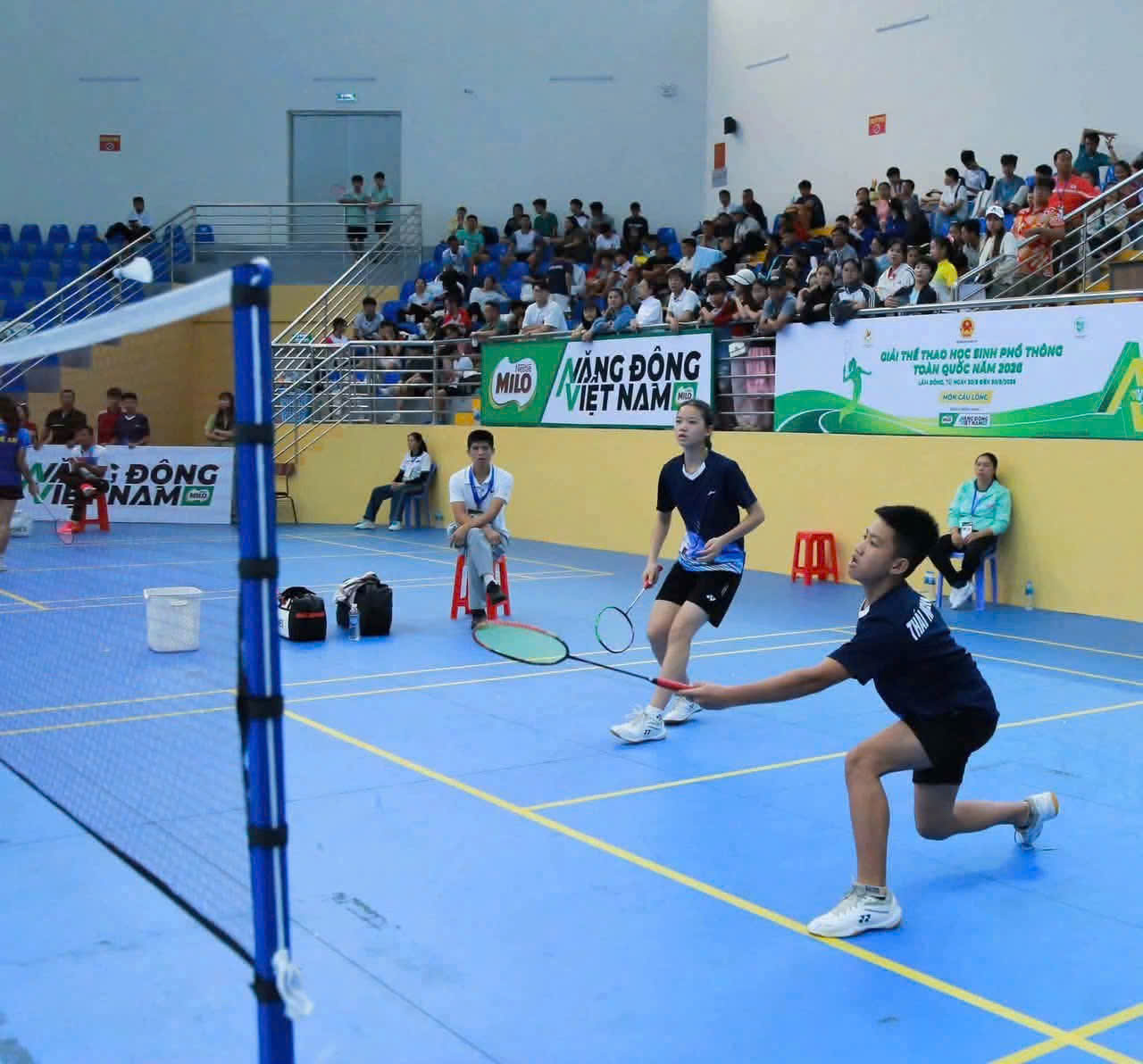 Anh-tin-bai