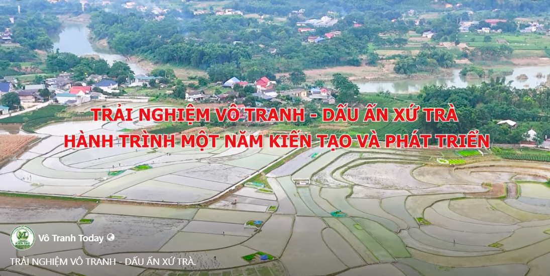 TRẢI NGHIỆM VÔ TRANH DẤU ẤN XỨ TRÀ