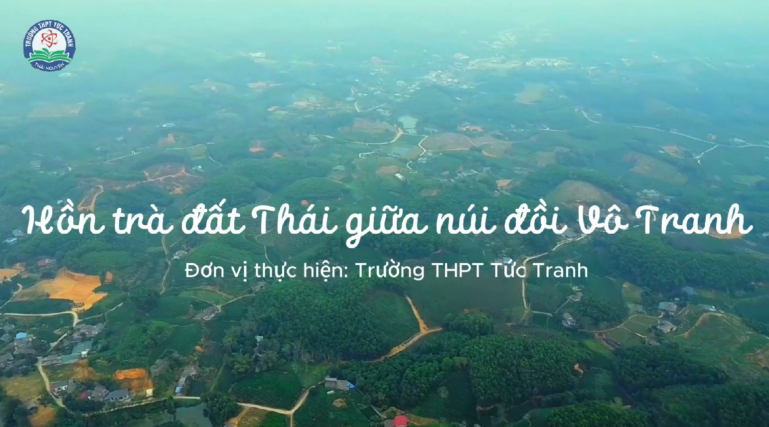 HỒN TRÀ ĐẤT THÁI GIỮA NÚI ĐỒI VÔ TRANH