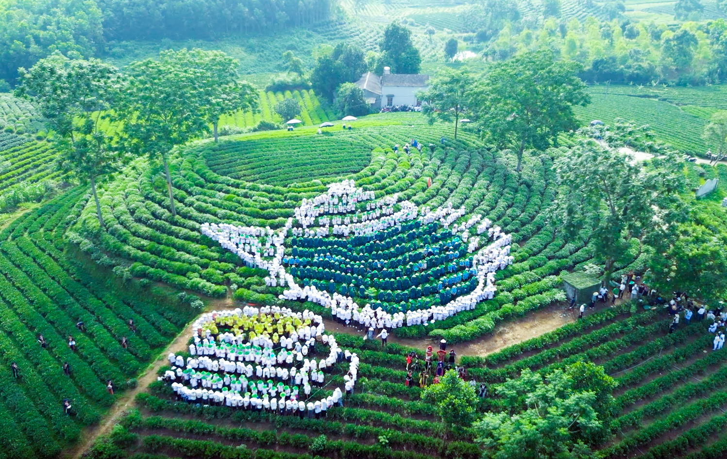  Xã Vô Tranh được công nhận 2 Kỷ lục Việt Nam