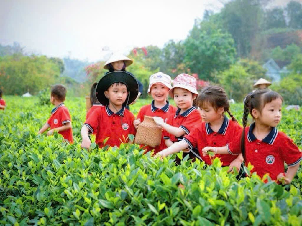 Anh-tin-bai