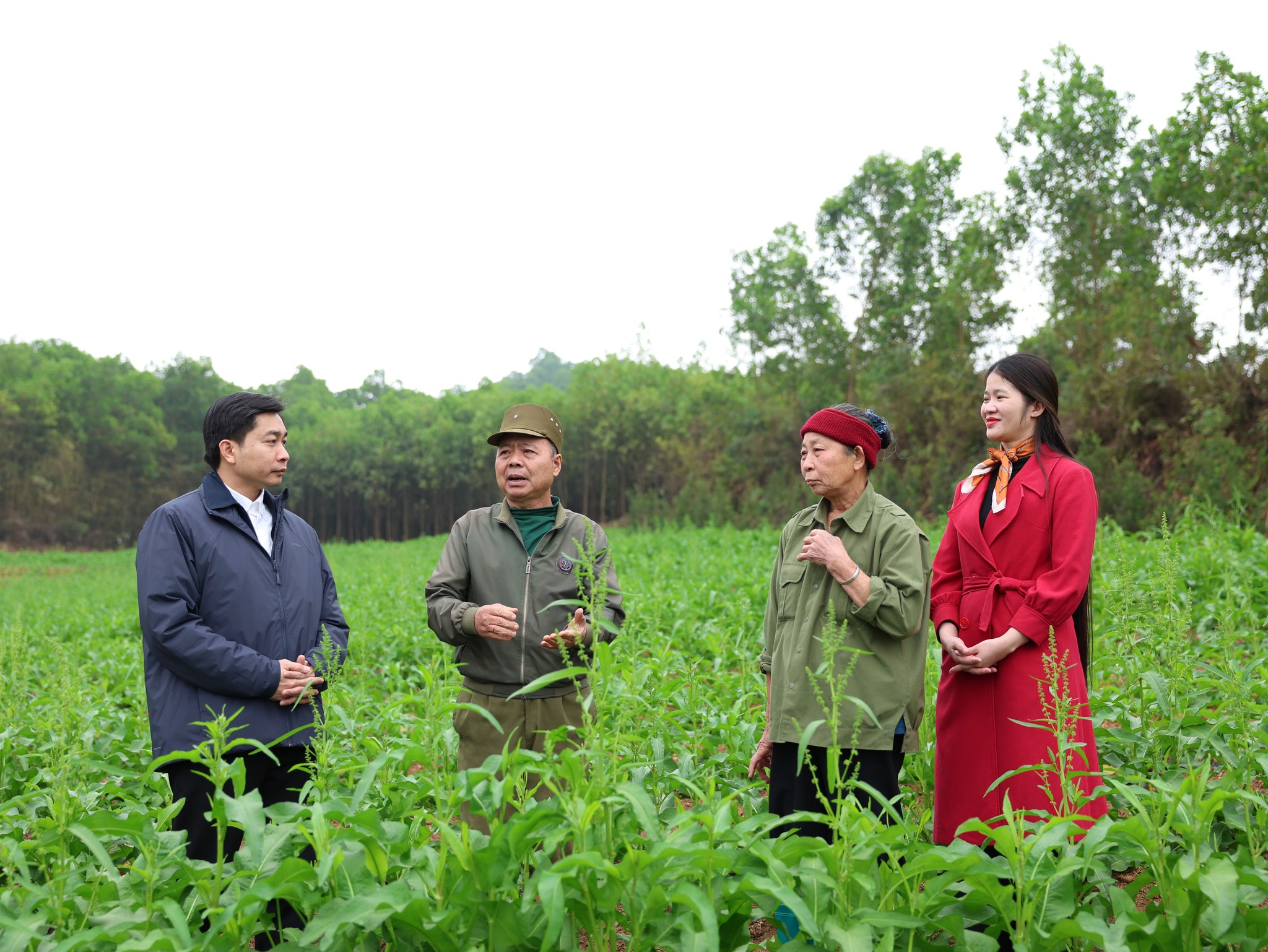 Đồng chí Bí thư Đảng ủy xã Phú Lương thăm, nắm tình hình đời sống nhân dân và công tác chuẩn bị đón Tết Nguyên Đán 2026