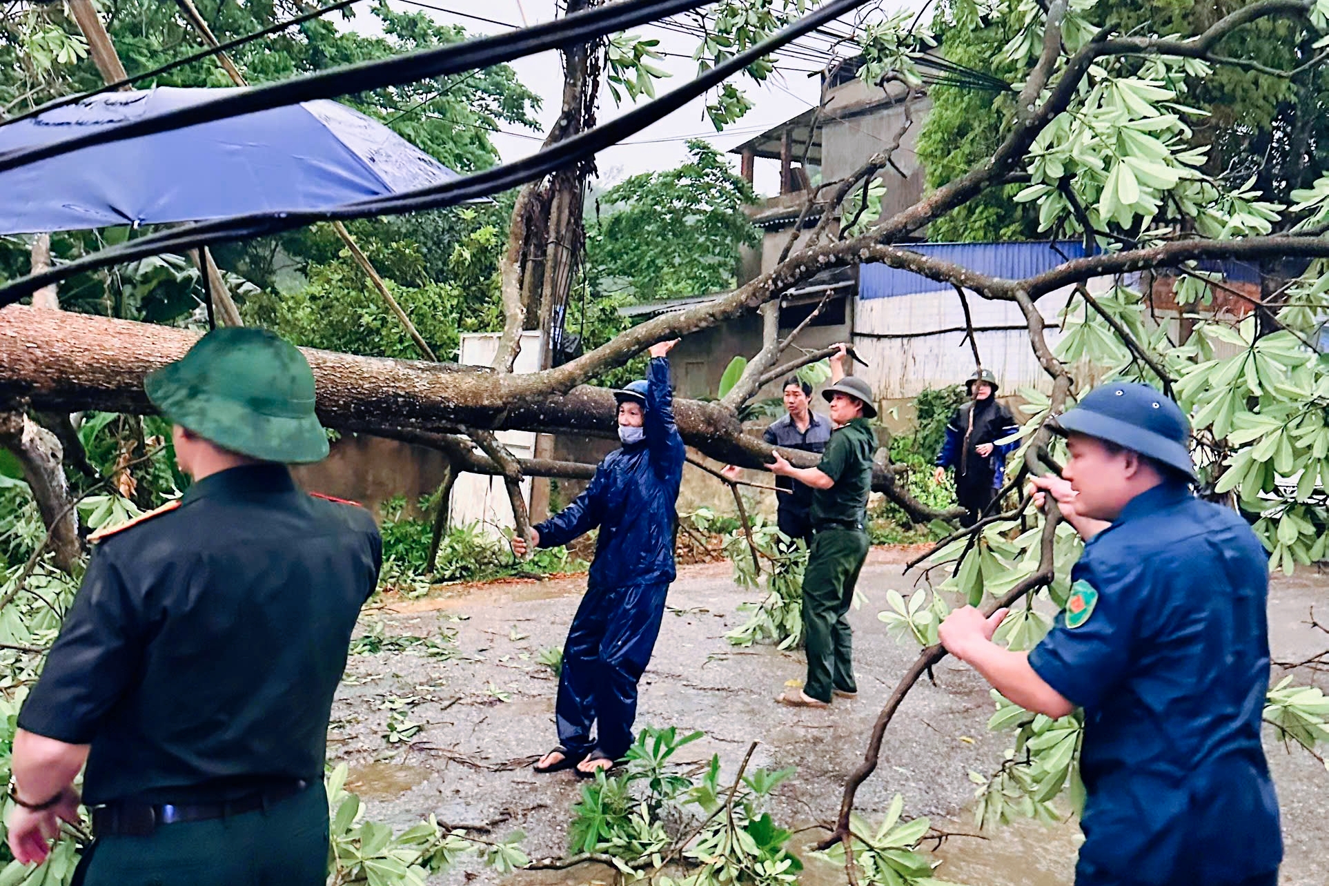 MƯA DÔNG GÂY ĐỔ CÂY TẠI XÃ VĂN HÁN, LỰC LƯỢNG CHỨC NĂNG KHẨN TRƯƠNG XỬ LÝ, ĐẢM BẢO AN TOÀN GIAO THÔNG